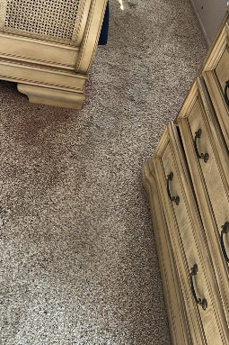 contact about carpet cleaning in wylie area rug cleaning in wylie